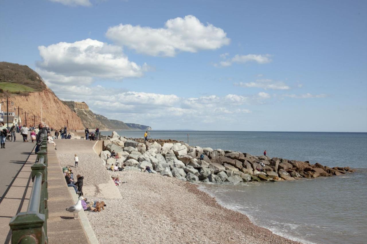 Cobblers Cottage Sidmouth Ngoại thất bức ảnh